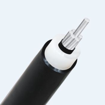 Cap Trung thế ACXV-WBS 12/20 (24)kV or 12.7/22 (24)kV