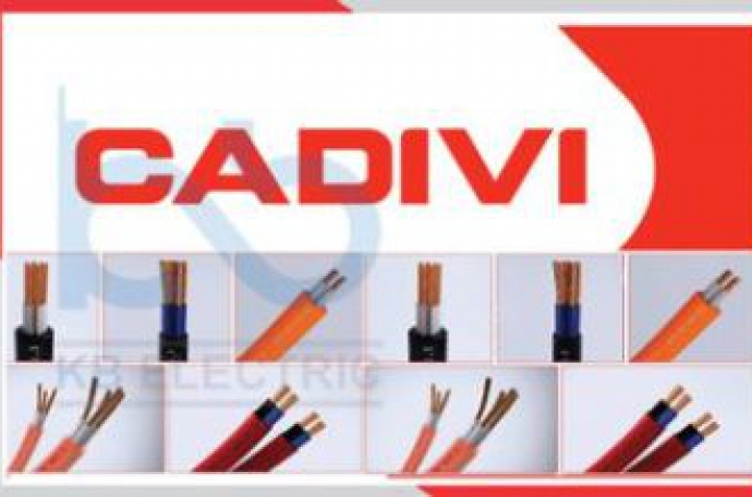 Cadivi