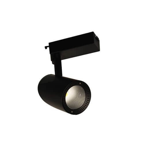 den-roi-ray-kingled-3